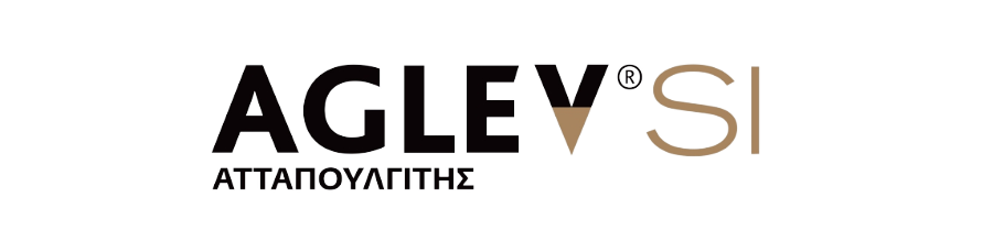 aglev_si_logo-removebg-preview 1