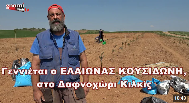 ΕΛΑΙΩΝΑΣ ΚΟΥΣΙΔΩΝΗ