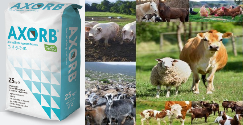 axorb- καθαριότητα χώρων εκτροφής ζώων