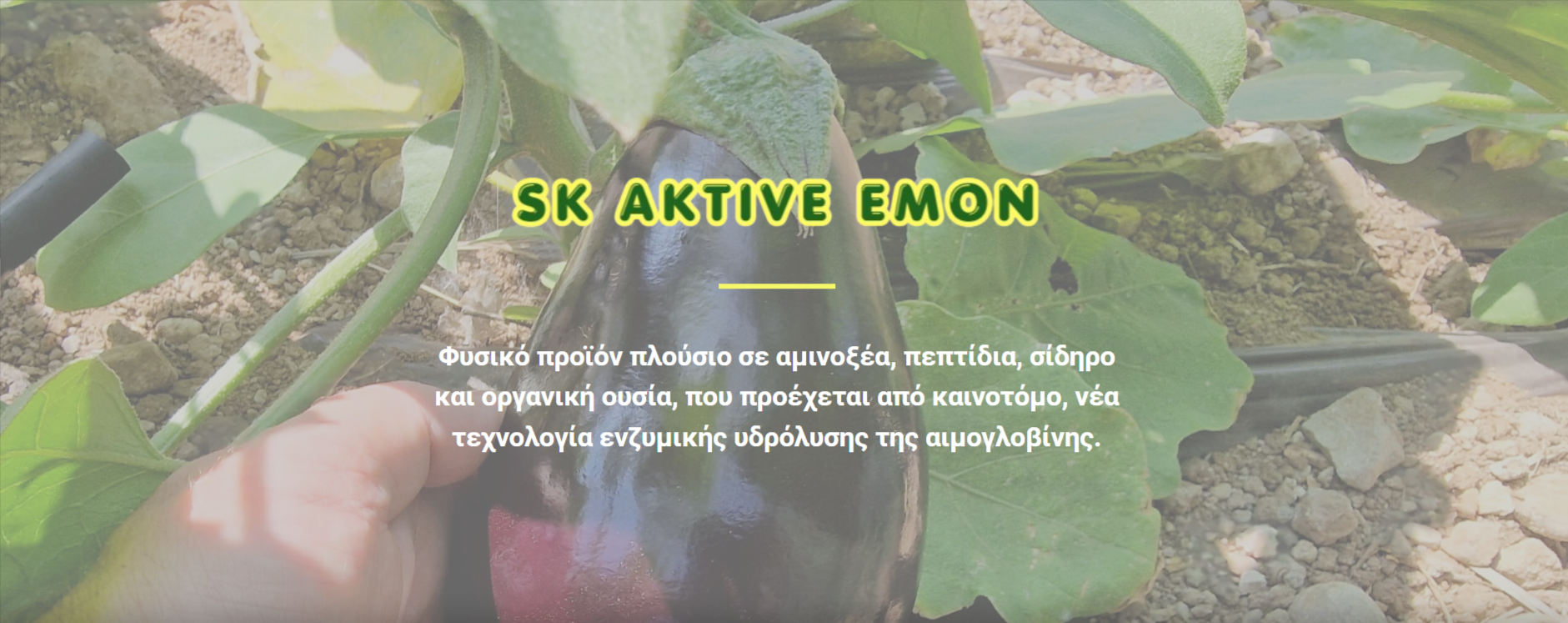 SK Aktive Emon - Ριζική Δύναμις